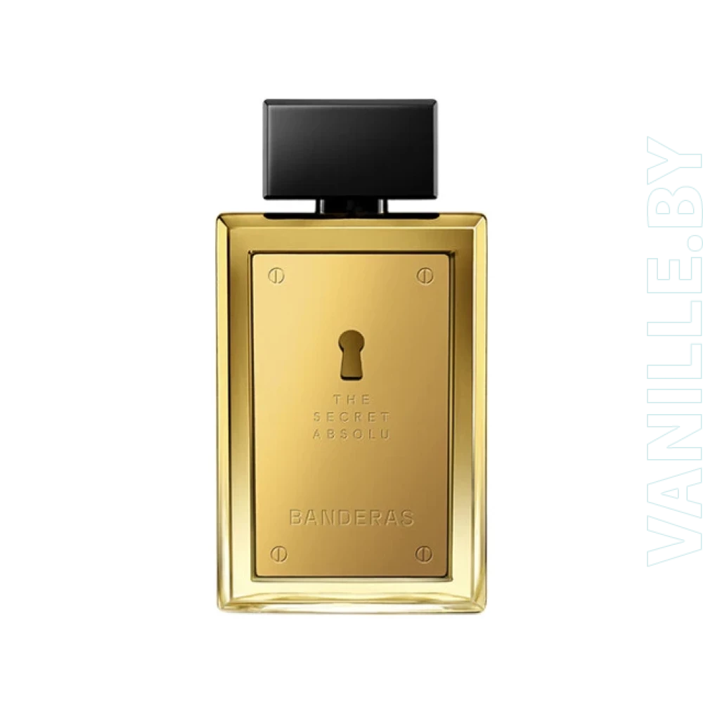 Туалетная вода для мужчин Antonio Banderas The Secret Absolu 100 мл - фото