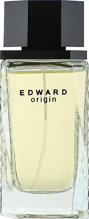 Парфюмированная вода для мужчин Dina Edward Origin100мл - фото