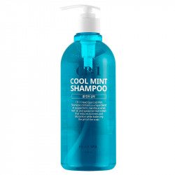Охлаждающий шампунь для волос ESTHETIC HOUSE CP-1 Head Spa Cool Mint Shampoo - 500 мл - фото